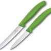 Victorinox Steak and Paring Knife Set Green 2-Piece