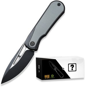 We Knife Co Baloo Mystery Box Folding Knife CPM-20CV Titanium