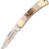 Winchester Small Stag Lockback Folding Knife 2.5" Blade