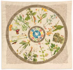 Wazoo Survival Gear Bandana Foraging Reference - Edible Plants