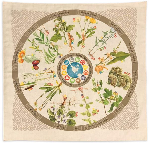 Wazoo Survival Gear Bandana Foraging Reference - Edible Plants