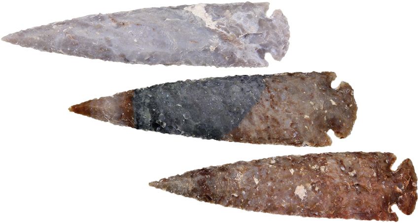Arrowhead Assortment XL Agate Jasper Arrowheads 10 Pack