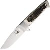 Salamandra Nestor Fixed Blade - Stag Handle N695