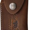 Old Bear Medium Folder Gift Set with Leather Sheath