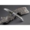 Artisan Apache Nomad M390 Gray Titanium Framelock