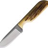 Anza Fixed Blade LJ Bone 2.25 inches