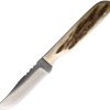 Anza Mini Fixed Blade 2.25in - LJ Bone