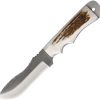 Anza Tracker Fixed Blade 5.5in - Elk Stag