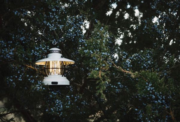 BARE170_add_06.jpg Barebones Living Edison Mini Lantern White Steel