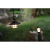BARE264_add_05.jpg Barebones Living Edison Pendant Light Bronze