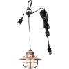 BARE268_add_01.jpg Barebones Living Edison Pendant Light Copper