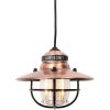BARE268_add_02.jpg Barebones Living Edison Pendant Light Copper