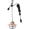 BARE268_add_03.jpg Barebones Living Edison Pendant Light Copper