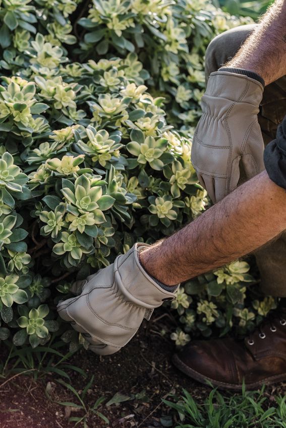 Barebones Living Kunar Utility Glove Premium Leather XL