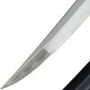 BattleBlades Gukudo Aikuchi T10 Steel Fixed Blade Sword