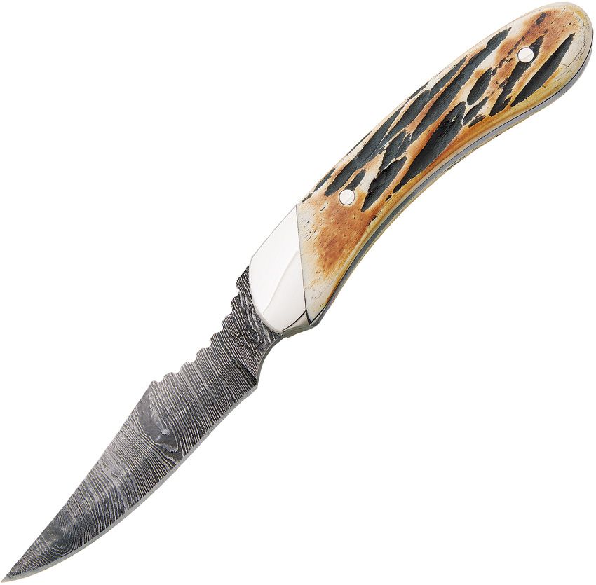 Bear & Son Caper Fixed Blade Knife 3" Damascus Stag Handle