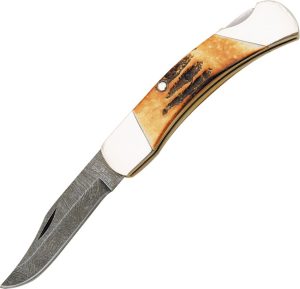 Bear & Son Midsize Lockback Damascus Stag Bone Folder