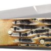 BC5180_add_01.jpg Bear & Son Large Barlow Sheepsfoot Folding Knife Stag Bone