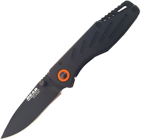 Bear Edge Framelock Lightweight Folding Knife