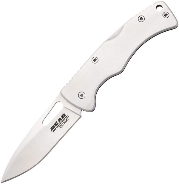 Bear Edge Money Clip Lockback Large - Stainless 2.25in