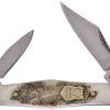 Buckcreek Whittler Deer Stag Folding Knife 3.5" Blade