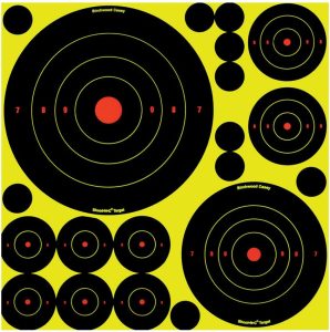 BDC34018.jpg Birchwood Casey Shoot-NC Variety Pack Mixed Targets