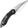 Begg Knives Mini Glimpse Linerlock Folding Knife D2 Steel Black G10
