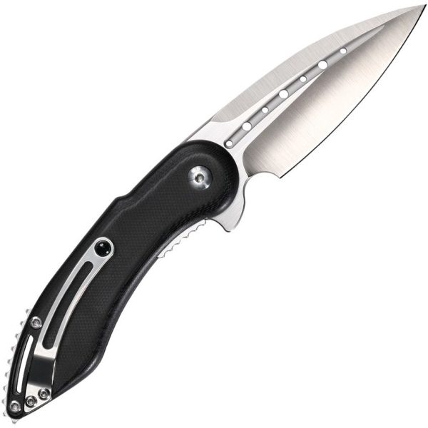 Begg Knives Mini Glimpse Linerlock Folding Knife D2 Steel Black G10