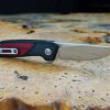 Begg Knives Diamici Linerlock VG10 Folding Knife Black G10
