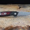 Begg Knives Diamici Linerlock Damascus Steel Folding Knife G10