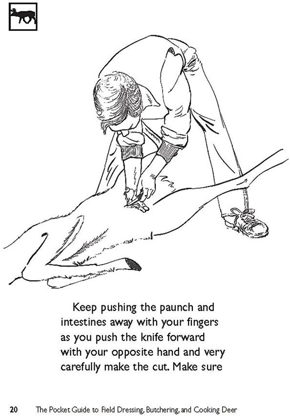 BK355_add_02.jpg Books Pocket Guide Field Dressing Reference