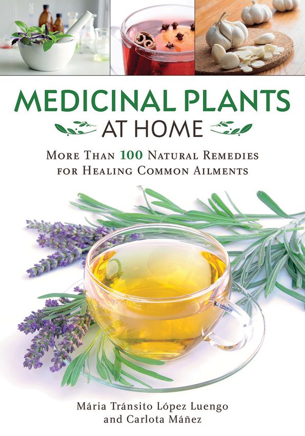 BK417.jpg Medicinal Plants at Home - 100+ Natural Remedies for Healing