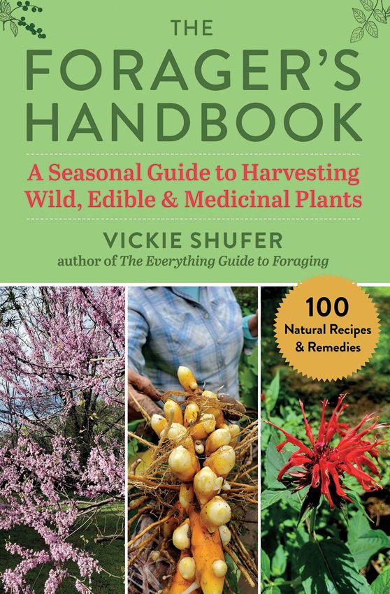 Books The Forager's Handbook - Seasonal Harvesting and Remedies