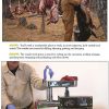 Ultimate Guide to Butchering - Field Dressing & Processing Meats
