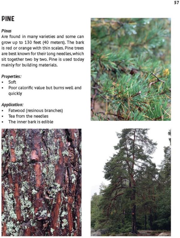 The Art of Bushcraft - Traditional Skills & Wilderness Reconnection