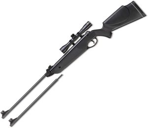 BM1022.jpg Beeman Black Cub .177/.22 Dual Caliber Air Rifle with Scope