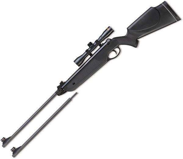 Beeman Black Cub .177/.22 Dual Caliber Air Rifle with Scope