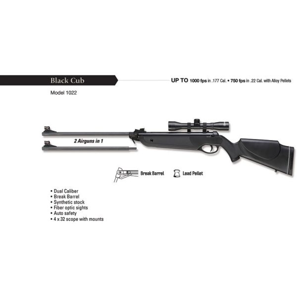 Beeman Black Cub .177/.22 Dual Caliber Air Rifle with Scope