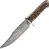 BNB123213.jpg BucknBear Kings Stag Bowie Fixed Blade Damascus Steel Knife