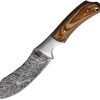 BucknBear Recurve Wood Hunter 4.25" Damascus Fixed Blade