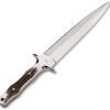 Boker Colmillo HX Fixed Blade - Stag Handle