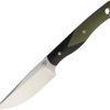 Bestech Heidi Fixed Blade D2 Green G10