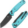 Cicadas Wing B-Lock Blue