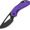 Bestech Triassic Linerlock PVD 14C28N Drop Point - Purple