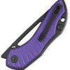 Bestech Triassic Linerlock PVD 14C28N Drop Point - Purple
