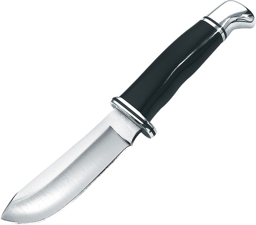 Buck 420HC Stainless Steel Skinner Fixed Blade Knife with Sheath