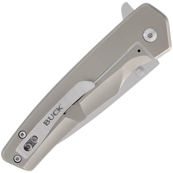 Buck Odessa Framelock Stainless Steel Drop Point