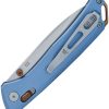 Buck Nomad Crossbar Lock Blue D2 Drop Point