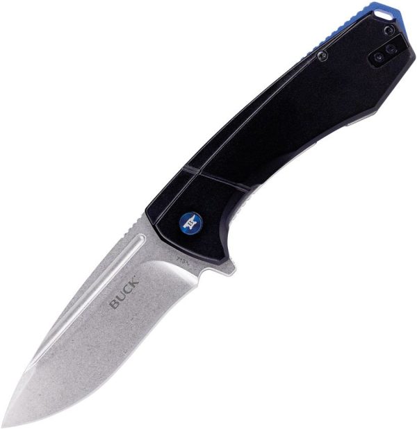 Buck Ruckus Framelock D2 Drop Point - Black/Blue