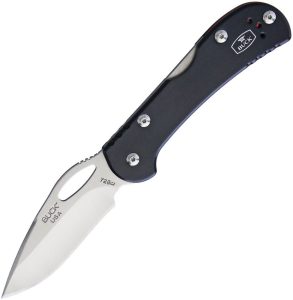 Buck Mini SpitFire Lockback 420HC - Black